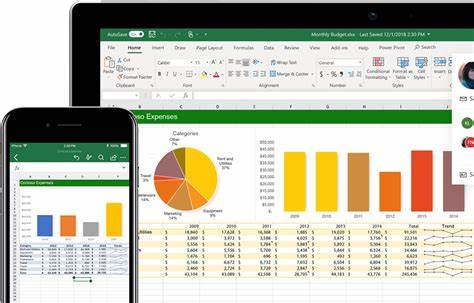 Excel